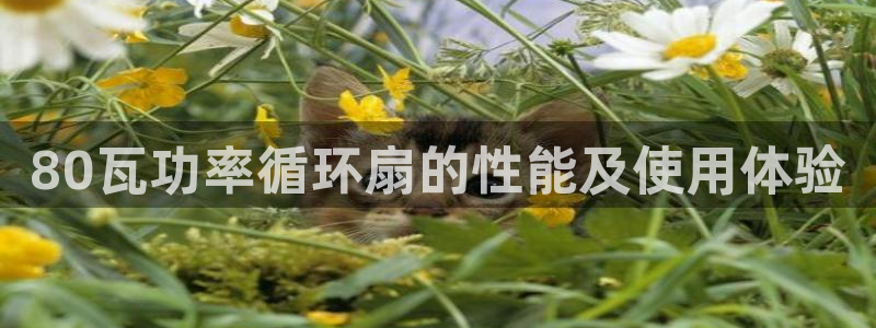 凯发app地址：80瓦功率循环扇的性能及使用体验