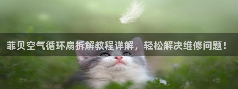 凯发最新官方app下载：菲贝空气循环扇拆解教程详解，轻松解决维修问题！