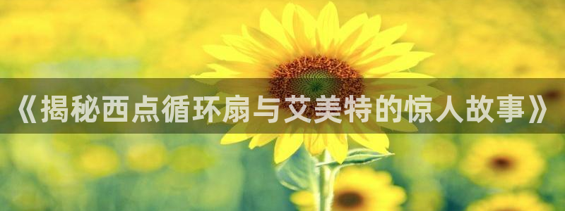 凯发k8登录首页：《揭秘西点循环扇与艾美特的惊人故事》