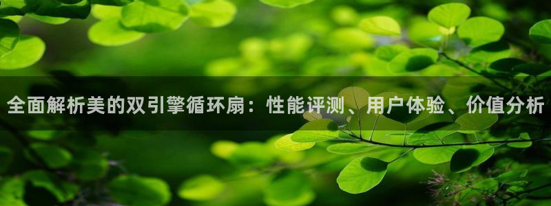 凯发旗舰网站：全面解析美的双引擎循环扇：性能评测、用户体验、价值分析