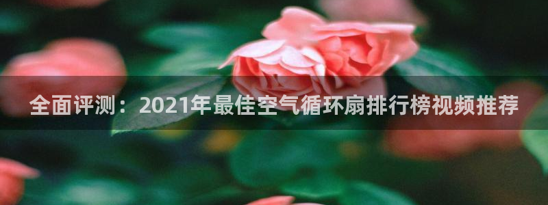 凯发官网平台：全面评测：2021年最佳空气循环扇排行榜视频推荐