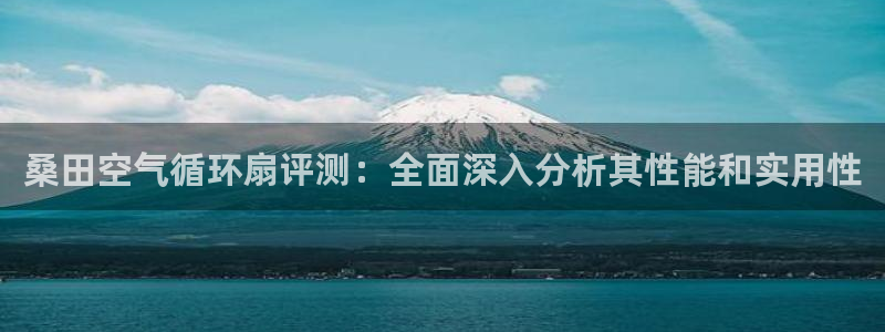 凯发k8是真是假：桑田空气循环扇评测：全面深入分析其性能和实用性