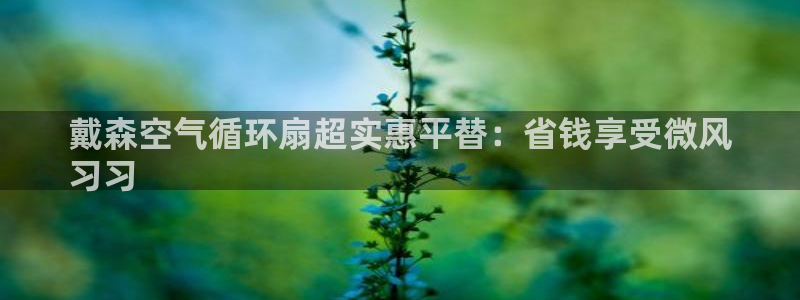 凯发旗舰厅登录免费下载：戴森空气循环扇超实惠平替：省钱享受微风
习习