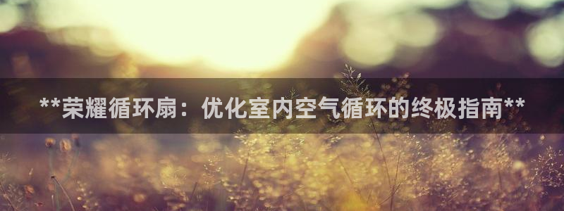 凯发k8国际不能提款了吗：**荣耀循环扇：优化室内空气循环的终极指南**