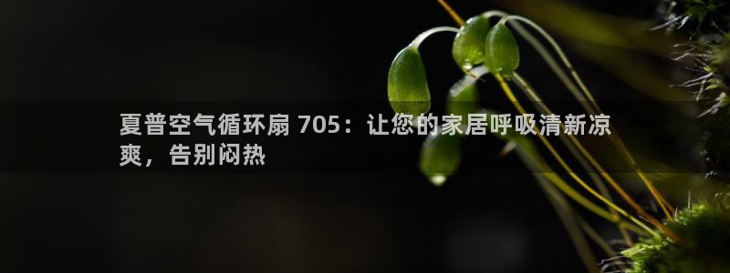 凯发唯一官方网站：夏普空气循环扇 705：让您的家居呼吸清新凉
爽，告别闷热