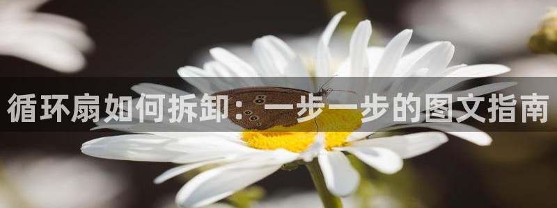 凯发k8旗舰厅手机app下载：循环扇如何拆卸：一步一步的图文指南