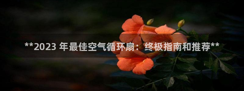 凯发首页：**2023 年最佳空气循环扇：终极指南和推荐**