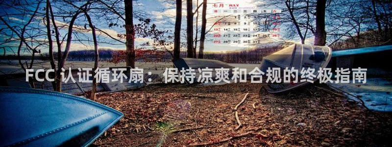 凯发旗舰客户端：FCC 认证循环扇：保持凉爽和合规的终极指南