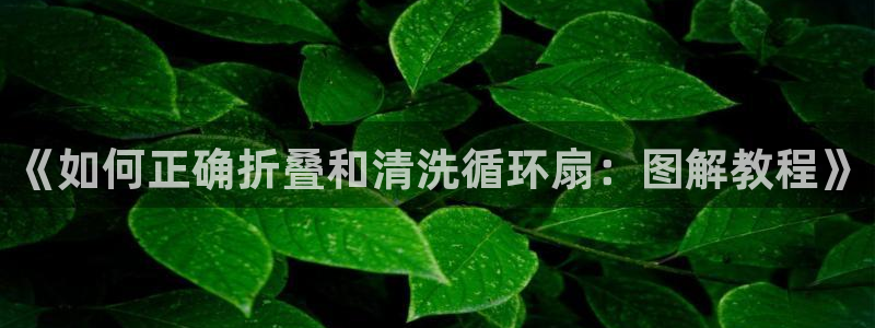 凯发平台风采：《如何正确折叠和清洗循环扇：图解教程》