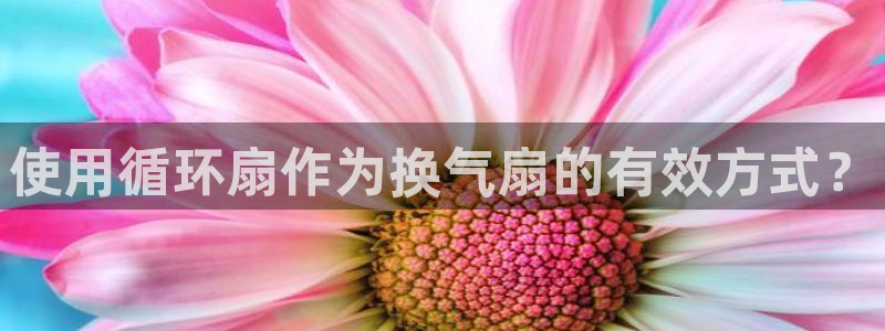凯发k8国际下载：使用循环扇作为换气扇的有效方式？