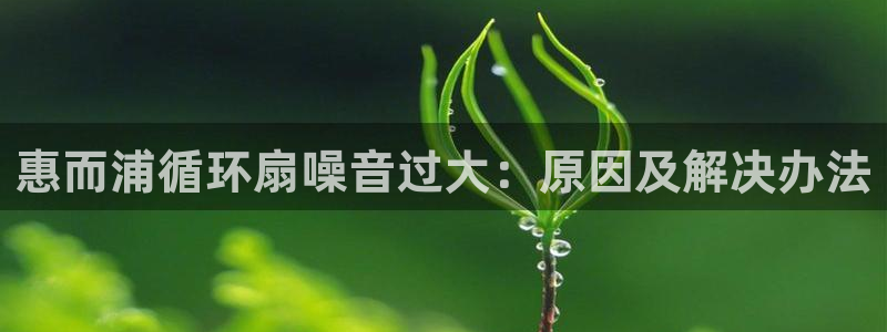 凯发是正规平台吗：惠而浦循环扇噪音过大：原因及解决办法