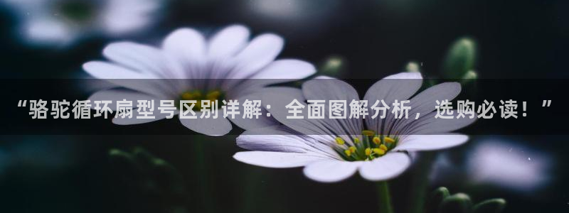 凯发平台风采：“骆驼循环扇型号区别详解：全面图解分析，选购必读！”