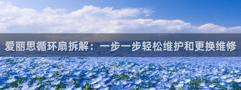 凯发k8旗舰厅app下载可靠送38元是真的吗：爱丽思循环扇拆解：一步一步轻松维护和更换维修