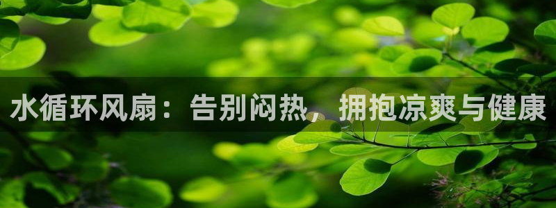 凯发就来凯发天生赢家一触即发：水循环风扇：告别闷热，拥抱凉爽与健康