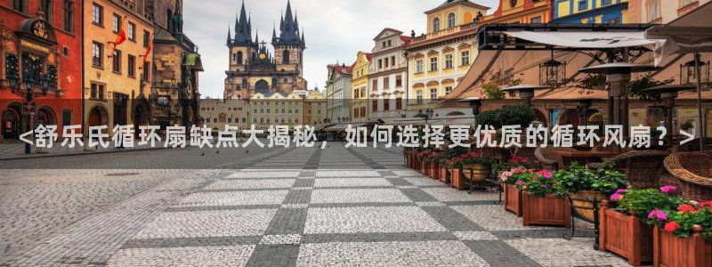凯发k8娱乐平台下载：<舒乐氏循环扇缺点大揭秘，如何选择更优质的循环风扇？>