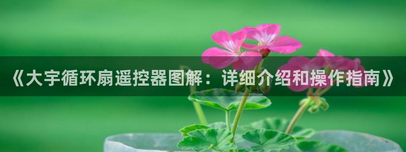 凯发网娱乐官网国际：《大宇循环扇遥控器图解：详细介绍和操作指南》