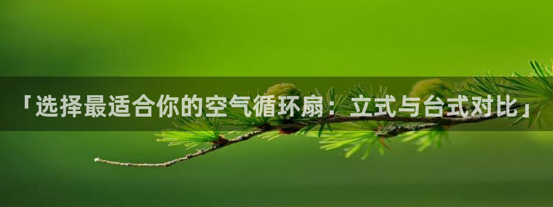 凯发官方在线：「选择最适合你的空气循环扇：立式与台式对比」