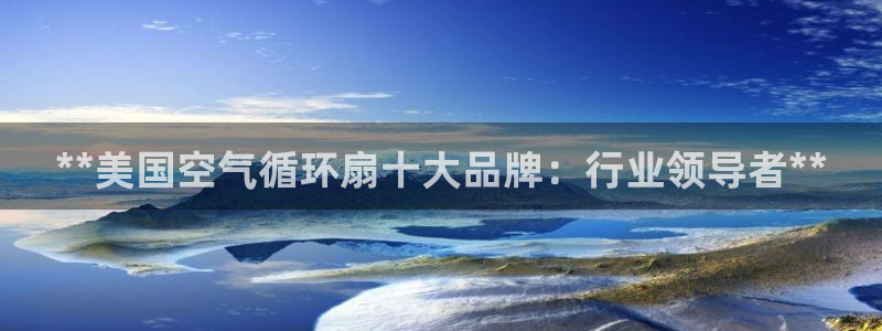 凯发k8娱乐：**美国空气循环扇十大品牌：行业领导者**