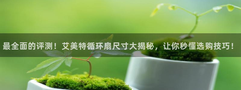 凯发平台轻7O777：最全面的评测！艾美特循环扇尺寸大揭秘，让你秒懂选购技巧！
