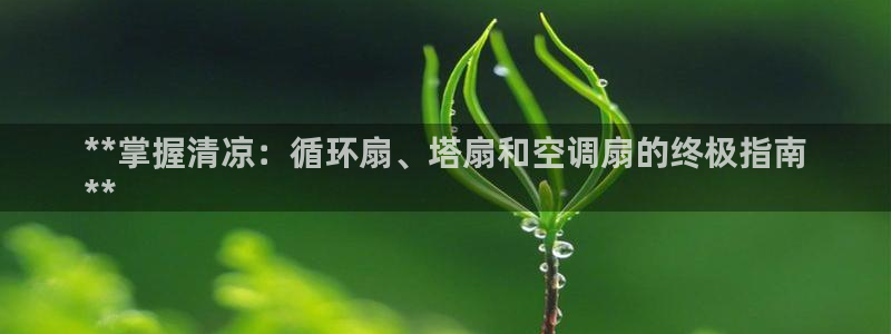 凯发国际可靠送38元：**掌握清凉：循环扇、塔扇和空调扇的终极指南
**