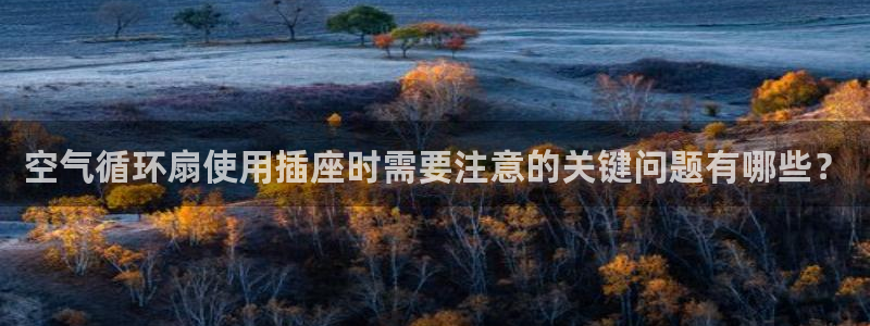 凯发k8是不是真的可靠：空气循环扇使用插座时需要注意的关键问题有哪些？