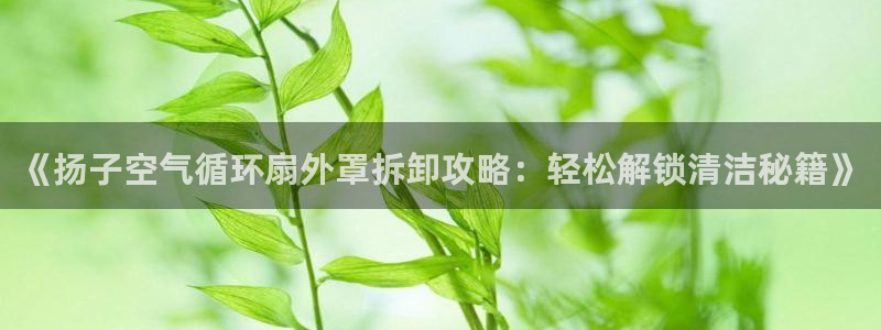 凯发k8官方网娱乐官方真：《扬子空气循环扇外罩拆卸攻略：轻松解锁清洁秘籍》