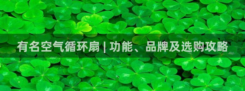 凯发国际网址官网查询：有名空气循环扇 | 功能、品牌及选购攻略