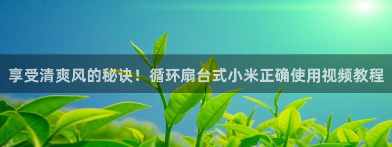 凯发k8娱乐旗舰app下载：享受清爽风的秘诀！循环扇台式小米正确使用视频教程